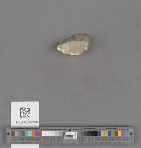 NSF ADBC EPICC TCN