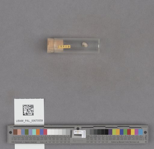 NSF ADBC EPICC TCN