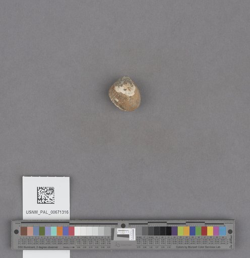 NSF ADBC EPICC TCN