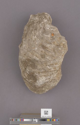 NSF ADBC EPICC TCN