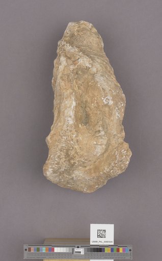 NSF ADBC EPICC TCN