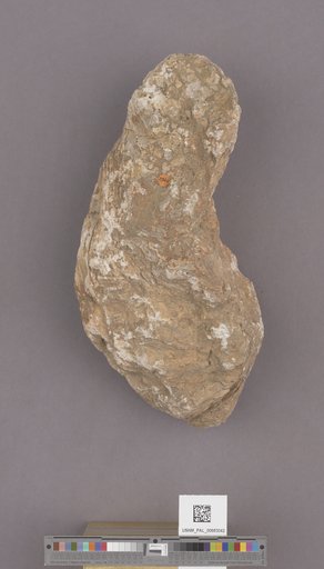 NSF ADBC EPICC TCN