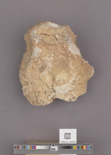 NSF ADBC EPICC TCN