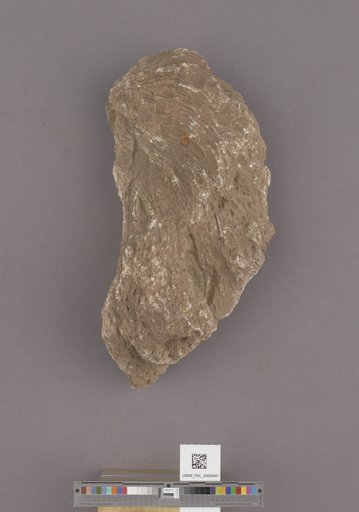 NSF ADBC EPICC TCN