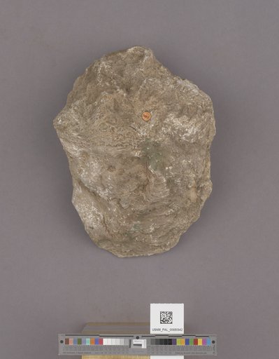 NSF ADBC EPICC TCN