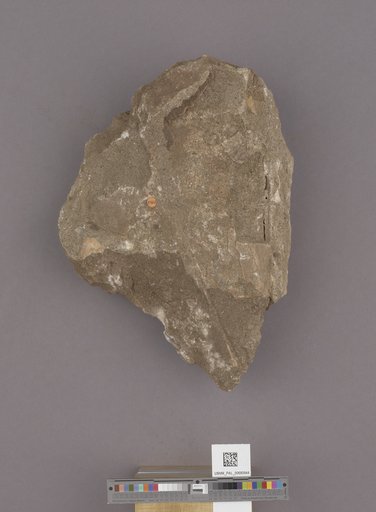 NSF ADBC EPICC TCN