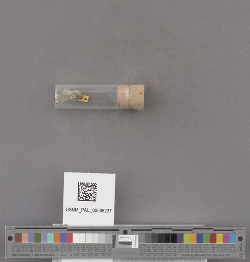 NSF ADBC EPICC TCN