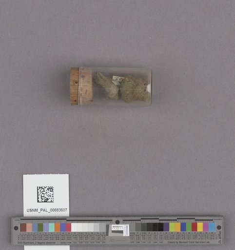 NSF ADBC EPICC TCN