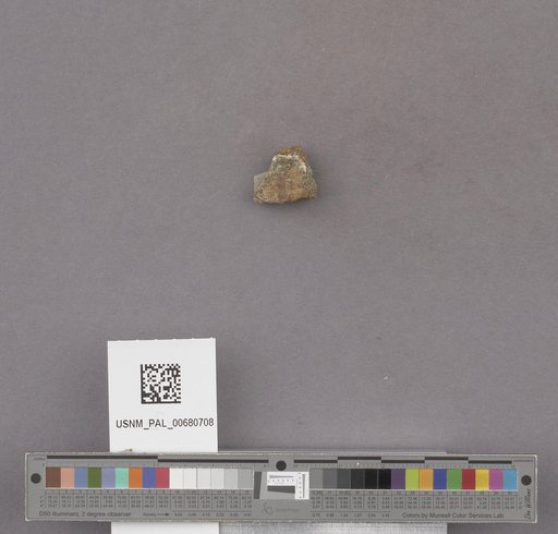 NSF ADBC EPICC TCN