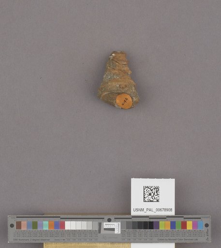 NSF ADBC EPICC TCN