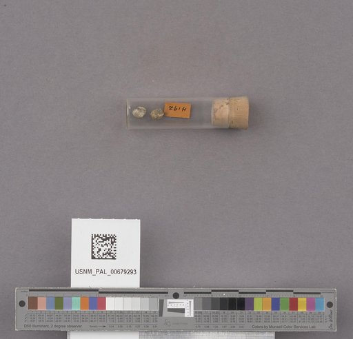 NSF ADBC EPICC TCN