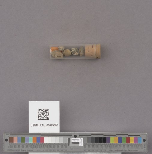 NSF ADBC EPICC TCN