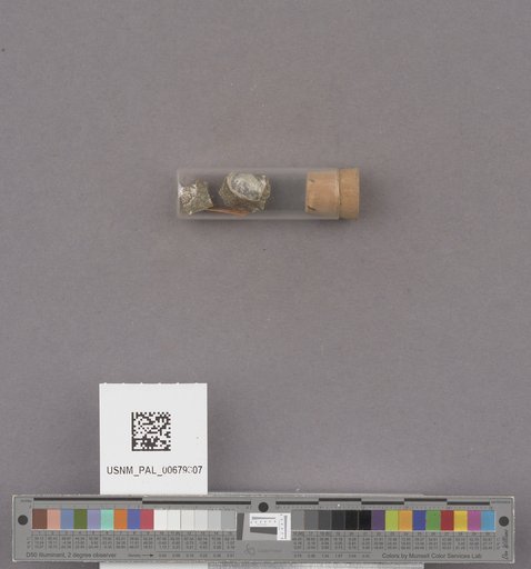 NSF ADBC EPICC TCN