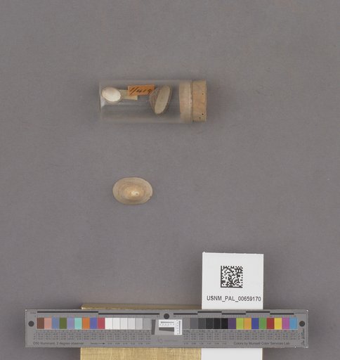 NSF ADBC EPICC TCN