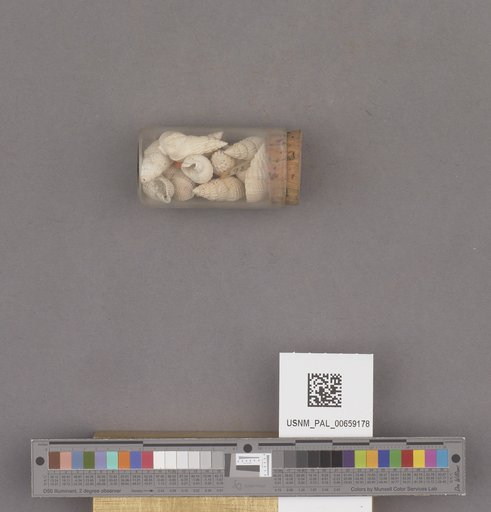 NSF ADBC EPICC TCN