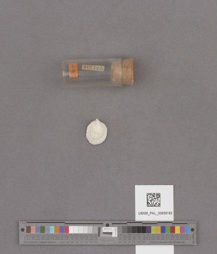 NSF ADBC EPICC TCN