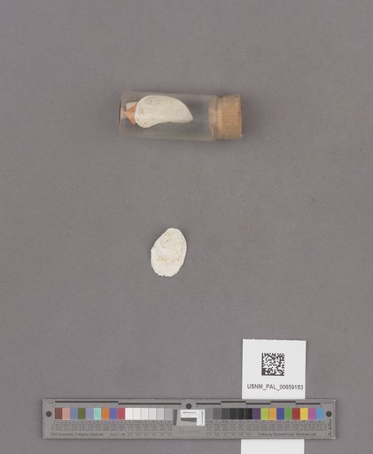 NSF ADBC EPICC TCN