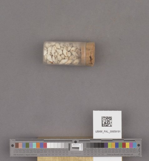 NSF ADBC EPICC TCN