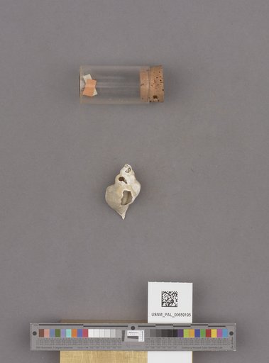 NSF ADBC EPICC TCN