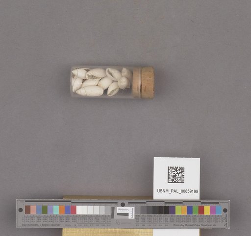 NSF ADBC EPICC TCN