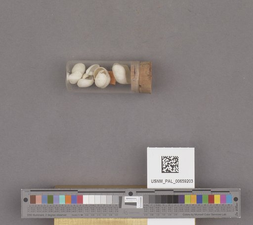 NSF ADBC EPICC TCN