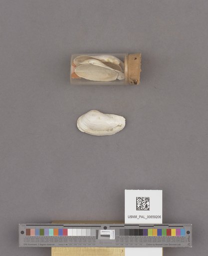 NSF ADBC EPICC TCN