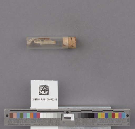 NSF ADBC EPICC TCN
