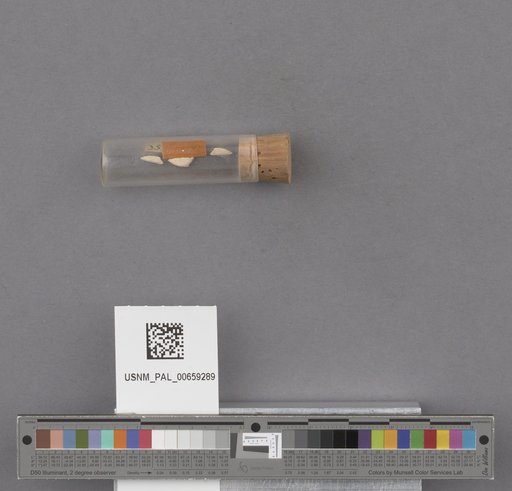 NSF ADBC EPICC TCN