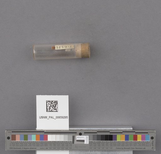 NSF ADBC EPICC TCN