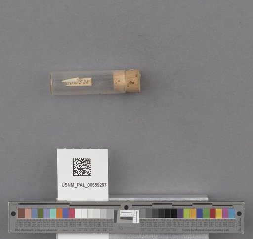 NSF ADBC EPICC TCN
