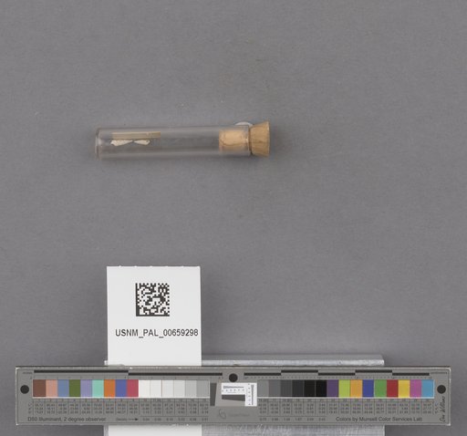NSF ADBC EPICC TCN