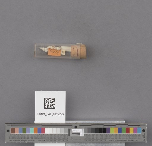 NSF ADBC EPICC TCN