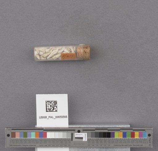 NSF ADBC EPICC TCN
