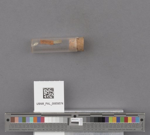 NSF ADBC EPICC TCN