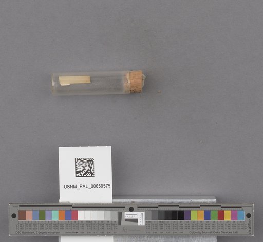 NSF ADBC EPICC TCN