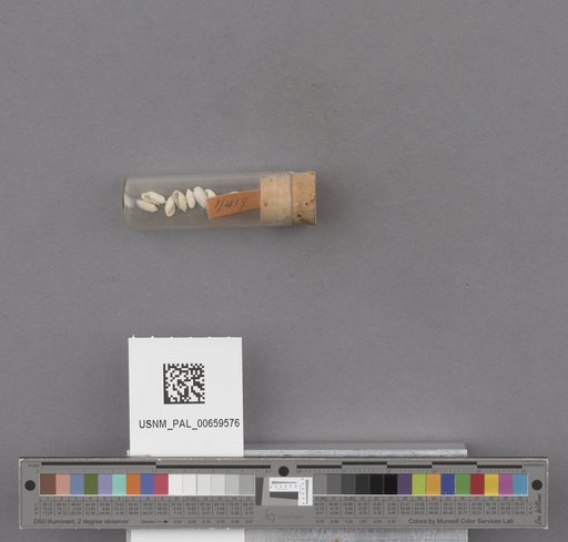 NSF ADBC EPICC TCN