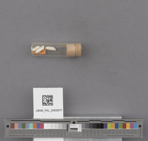 NSF ADBC EPICC TCN