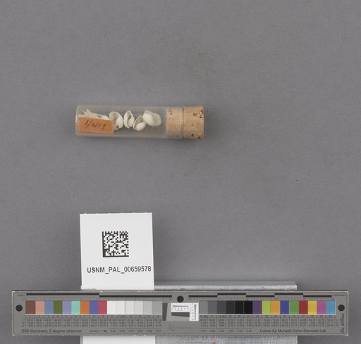 NSF ADBC EPICC TCN