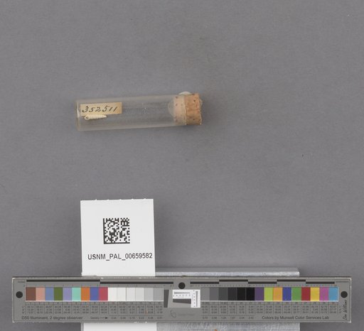 NSF ADBC EPICC TCN