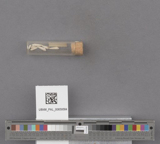 NSF ADBC EPICC TCN