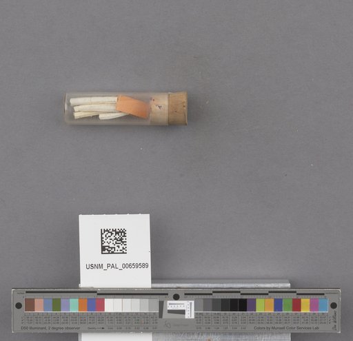 NSF ADBC EPICC TCN