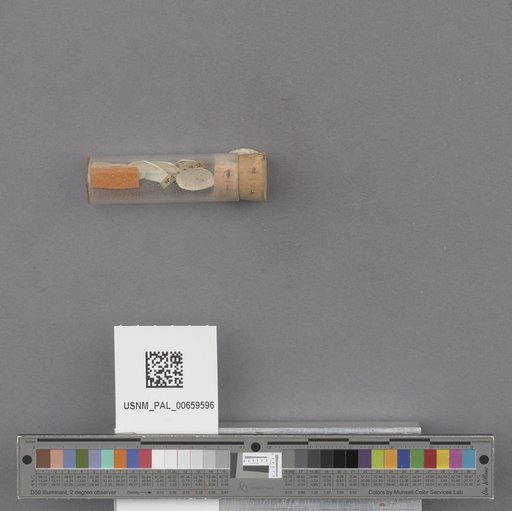 NSF ADBC EPICC TCN