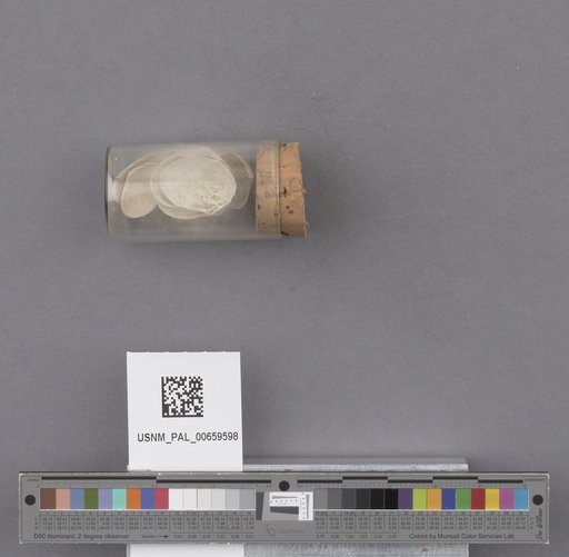 NSF ADBC EPICC TCN