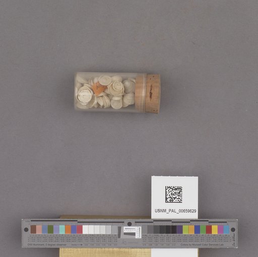 NSF ADBC EPICC TCN