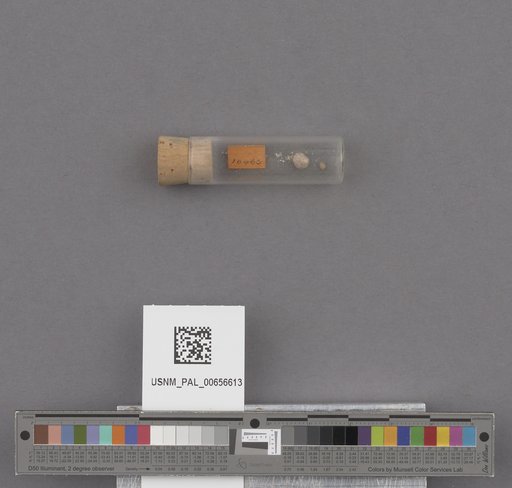 NSF ADBC EPICC TCN