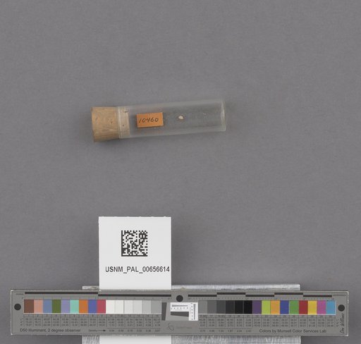 NSF ADBC EPICC TCN