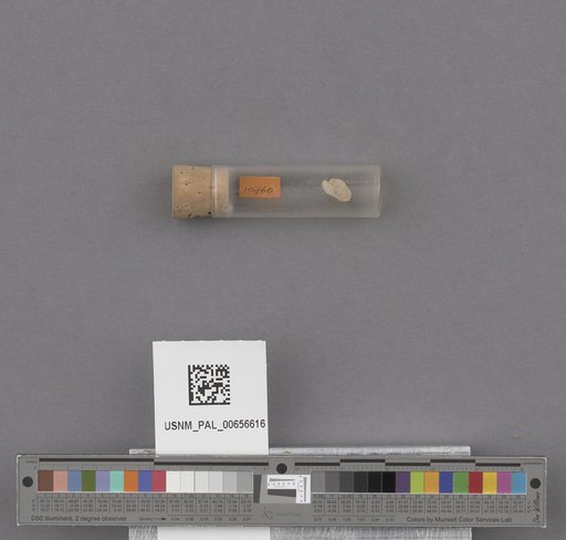 NSF ADBC EPICC TCN