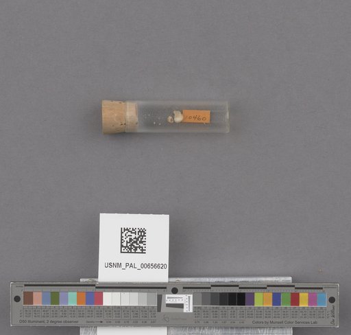 NSF ADBC EPICC TCN