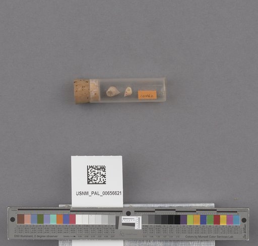 NSF ADBC EPICC TCN