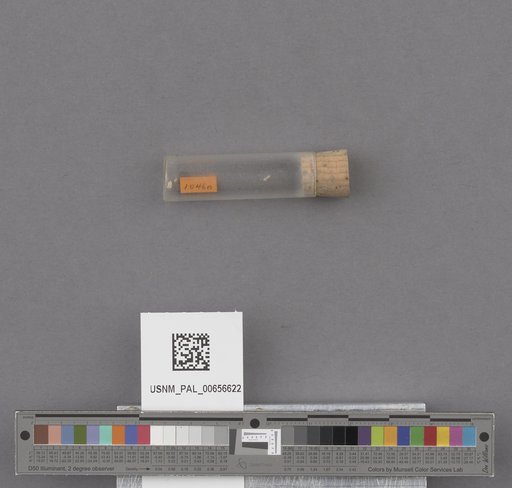NSF ADBC EPICC TCN